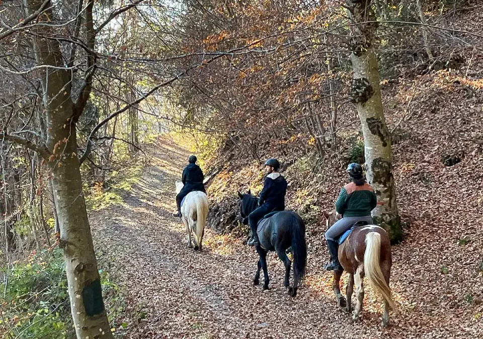 Horse Trek – Piramidi di Zone